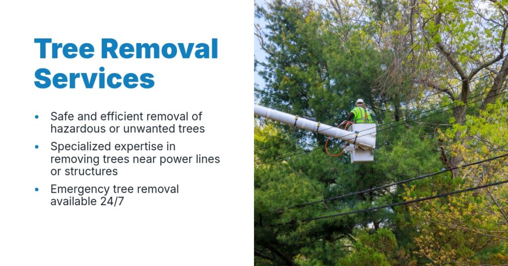 A flyer promoting tree removal services, emphasizing safety, expertise, and 24/7 emergency availability.