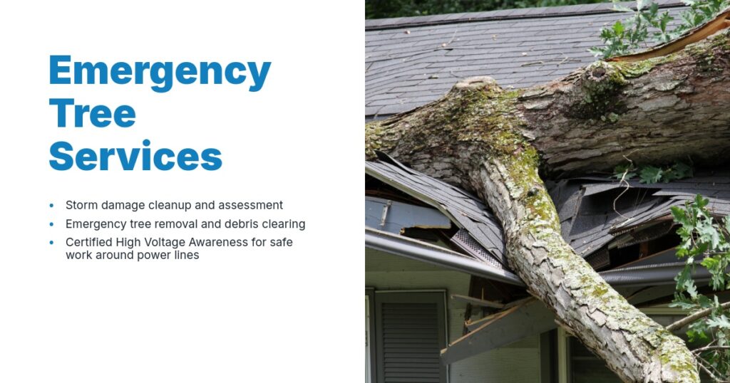 Image promotes emergency tree services, detailing storm cleanup, tree removal, and safety around power lines.