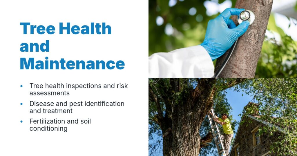 The image discusses tree health and maintenance, covering inspections, pest treatment, and soil conditioning.