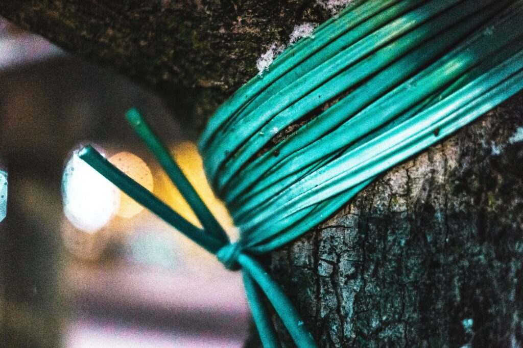 Macro shot of blue electrical cable tied around tree bark with blurred bokeh background.